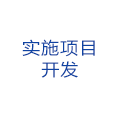 实施项目开发
